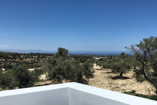 view_Anna_roofterrace_800x450